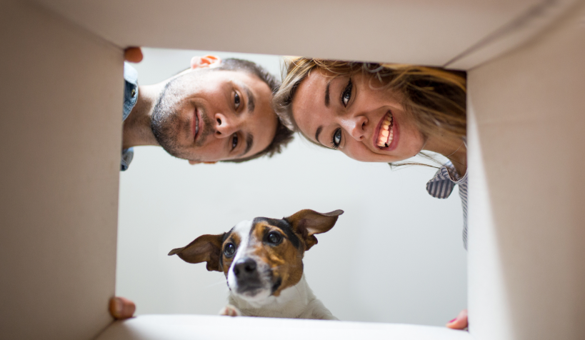 Oops! Wo sind die Produkte hin?