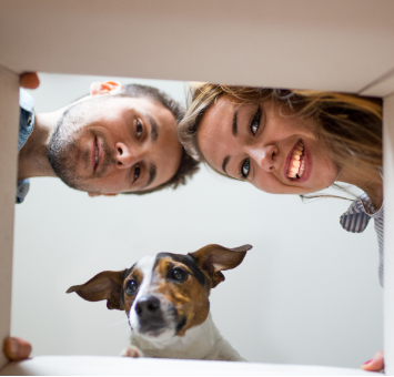 Oops! Wo sind die Produkte hin?